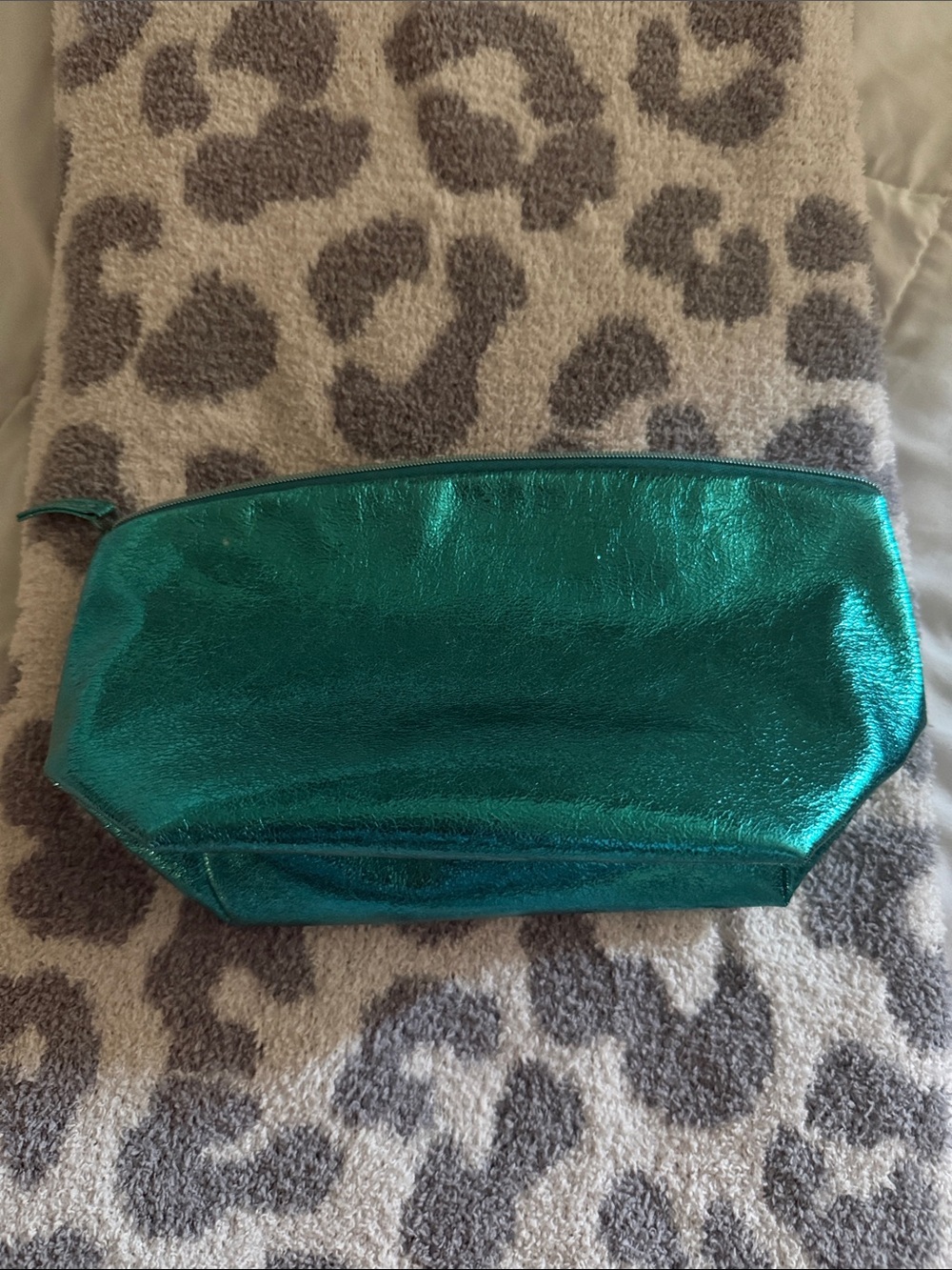 Metallic Teal Cosmetic Pouch - Women's Makeup Bag